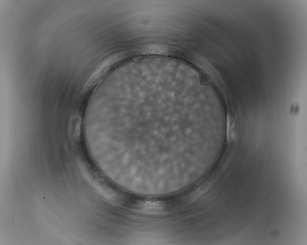 X0000113230157200910011417