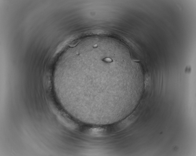 X0000113230158200910011417