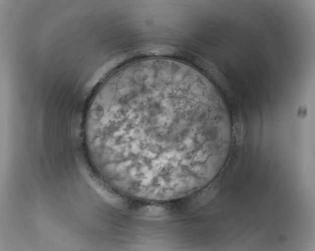 X0000113230159200910011417