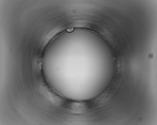 X0000113230160200910011417