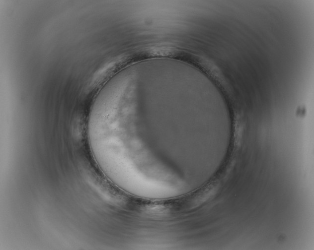 X0000113230161200910011417