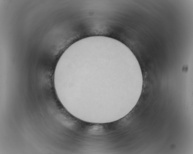 X0000113230162200910011417