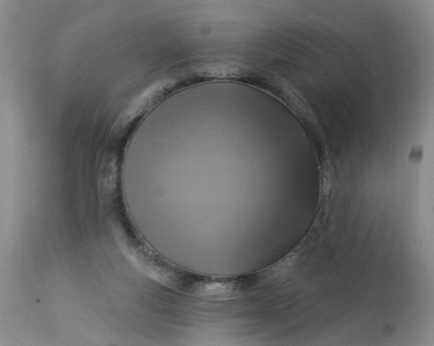 X0000113230163200910011417