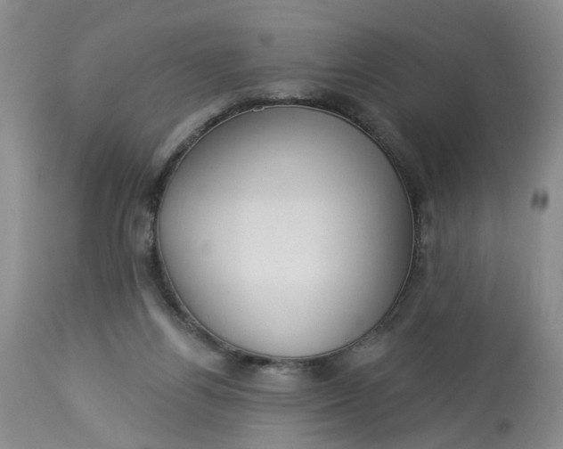 X0000113230164200910011417