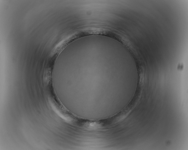 X0000113230165200910011417