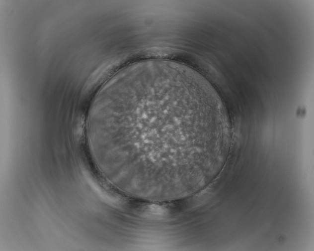 X0000113230166200910011417