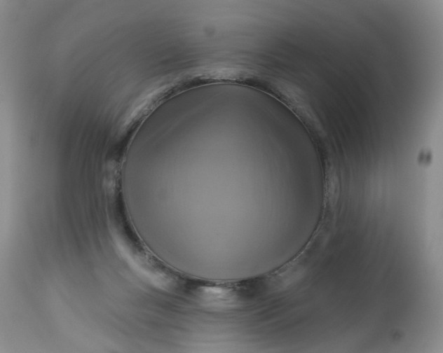 X0000113230167200910011417