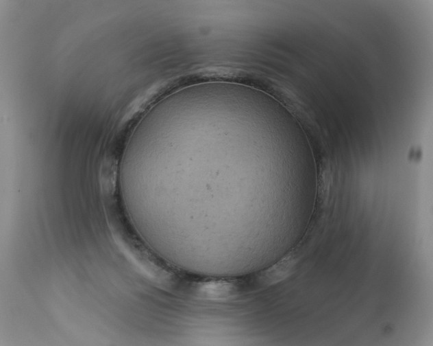 X0000113230168200910011417