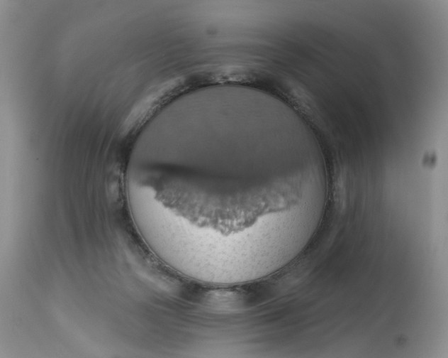 X0000113230169200910011417