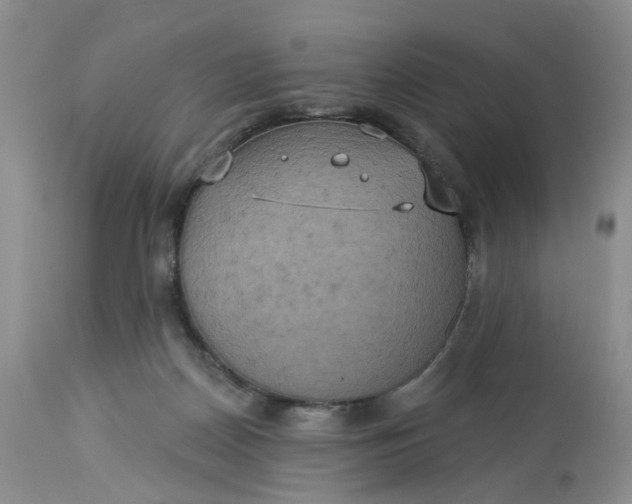 X0000113230170200910011418