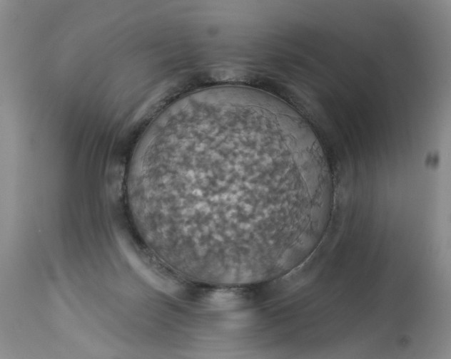 X0000113230171200910011418