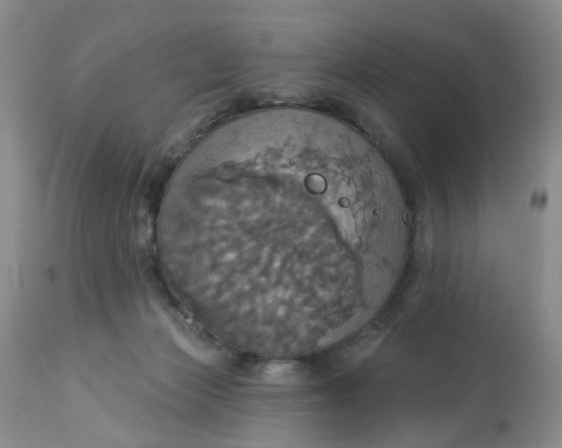 X0000113230173200910011418