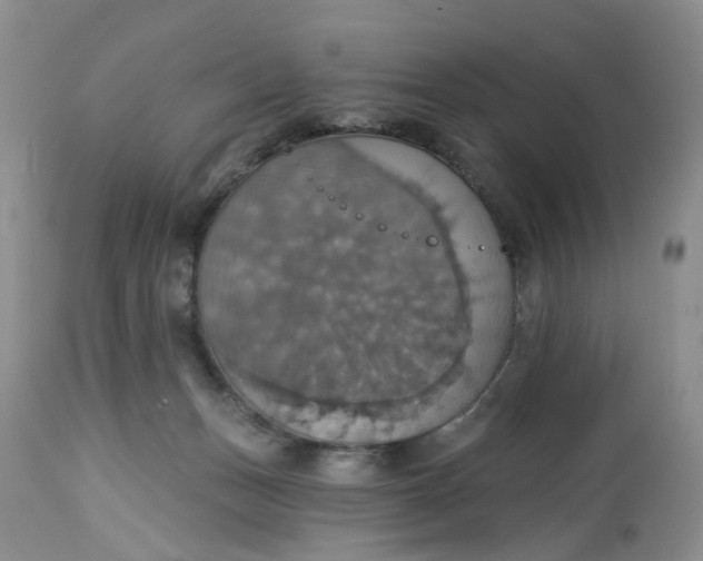 X0000113230175200910011418