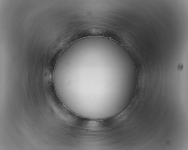 X0000113230176200910011418