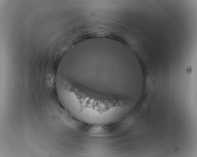 X0000113230177200910011418