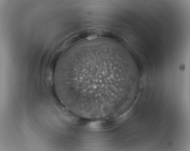 X0000113230178200910011418