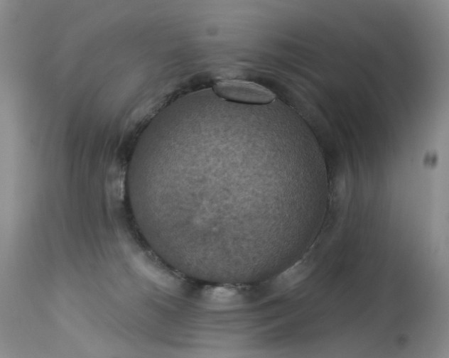 X0000113230180200910011418