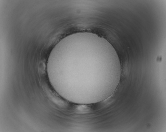 X0000113230183200910011418