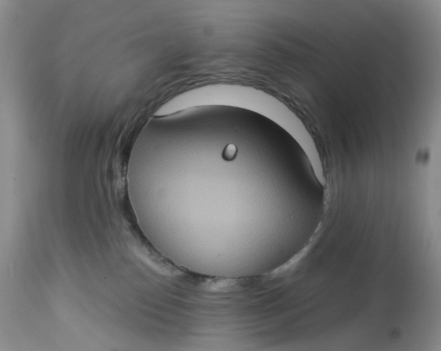 X0000113230186200910011418