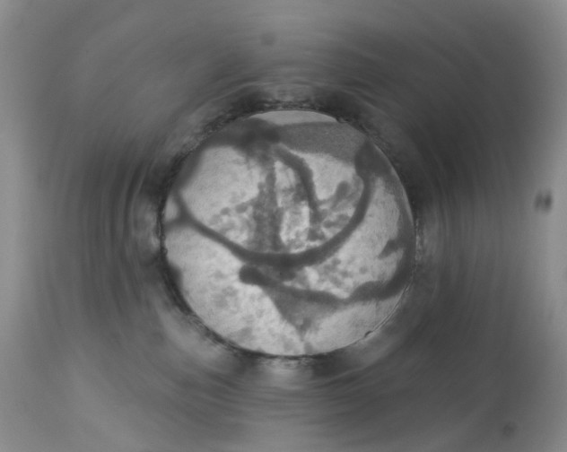 X0000113230187200910011418