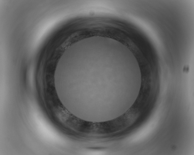 X0000113230189200910011418