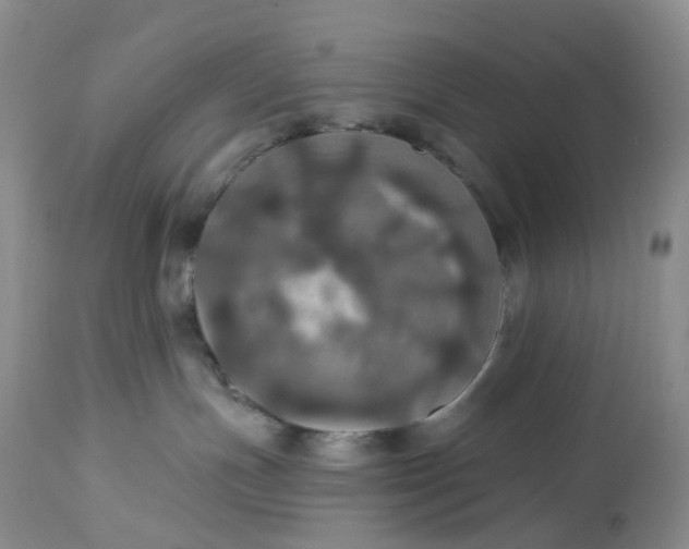 X0000113230191200910011418