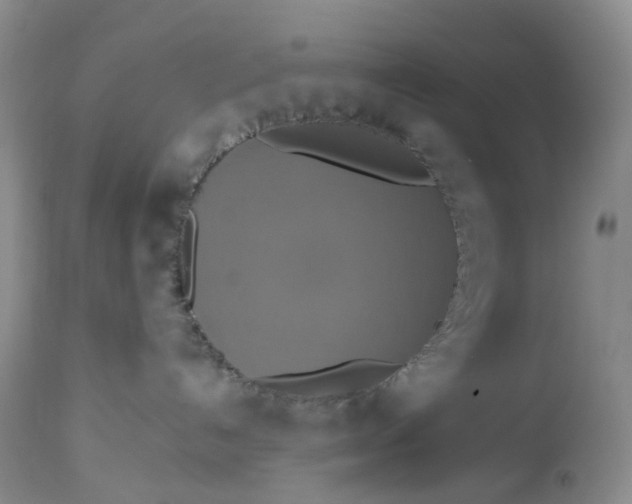 X0000113230192200910011418