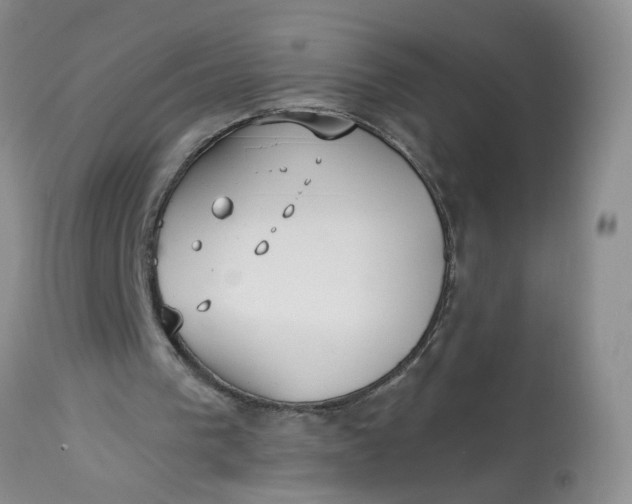 X0000113230193200910011417