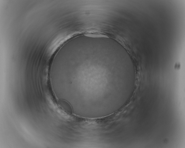 X0000113230194200910011417