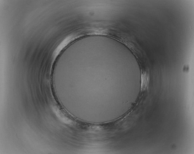 X0000113230195200910011417