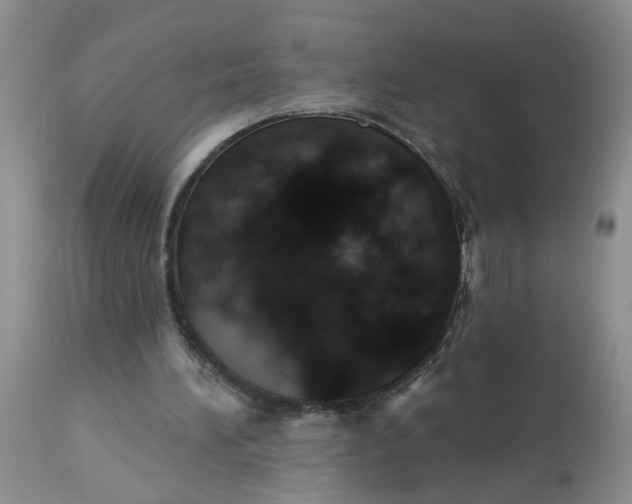 X0000113230196200910011417