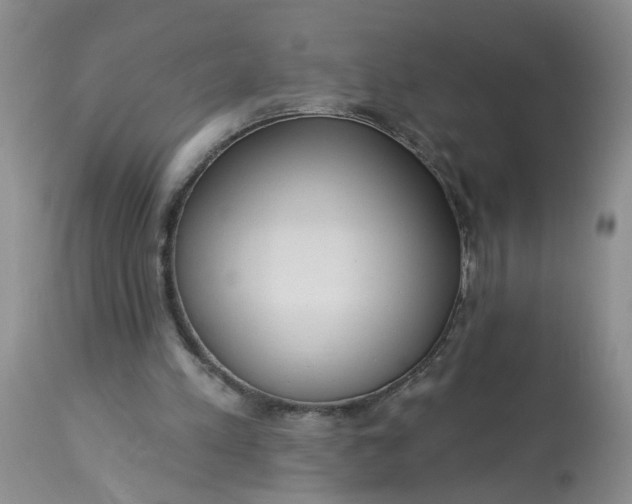 X0000113230197200910011417