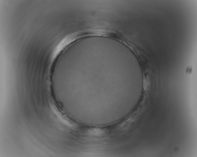 X0000113230198200910011417