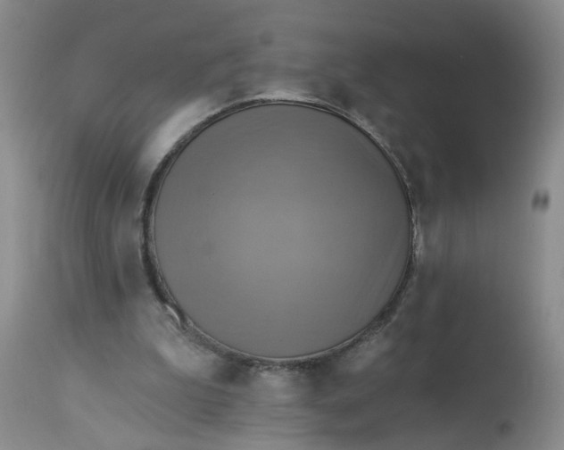 X0000113230199200910011417