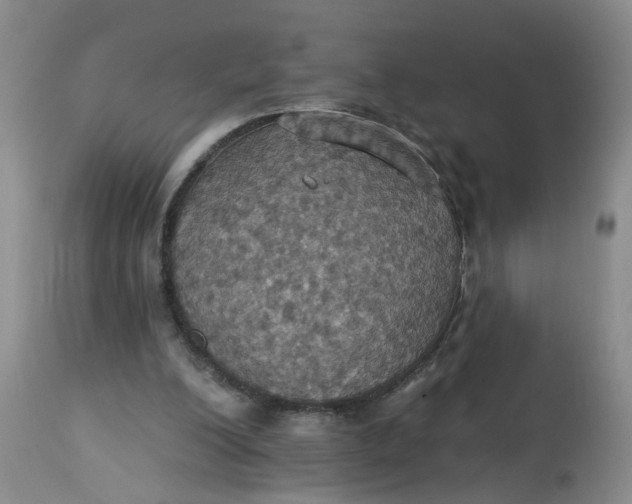 X0000113230200200910011417