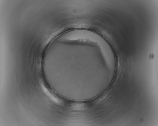 X0000113230202200910011417