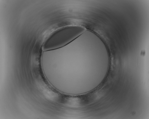 X0000113230203200910011417