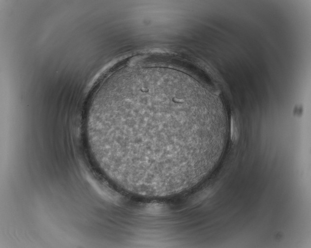 X0000113230204200910011417