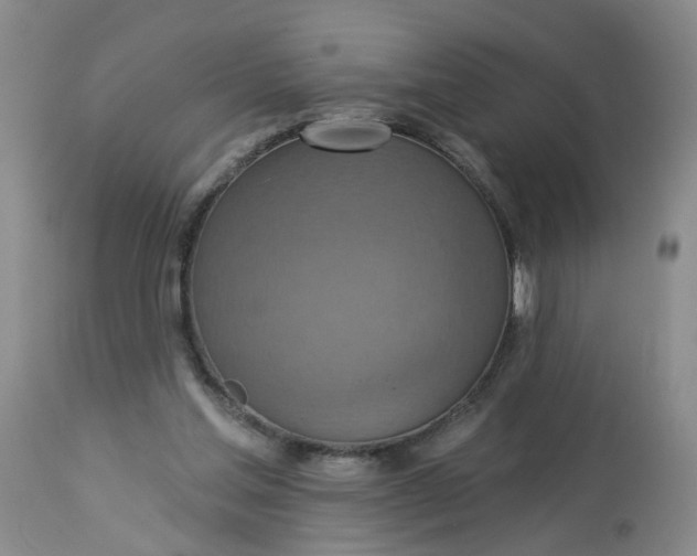 X0000113230205200910011417