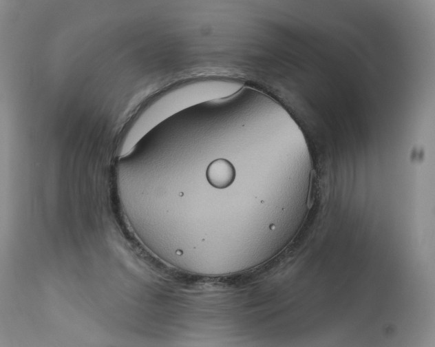 X0000113230207200910011417