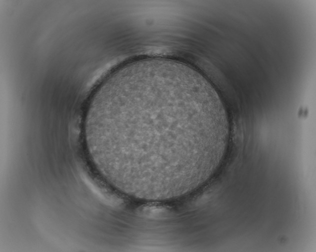 X0000113230208200910011417