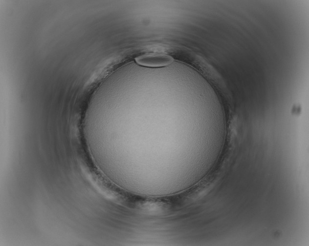 X0000113230209200910011417