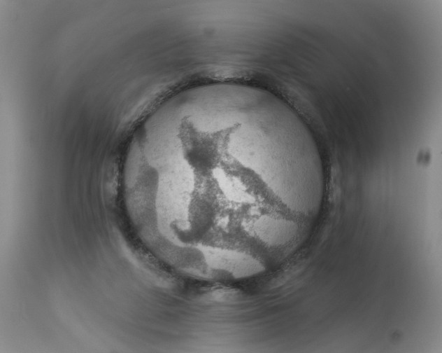 X0000113230210200910011417