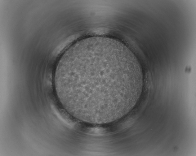 X0000113230212200910011417