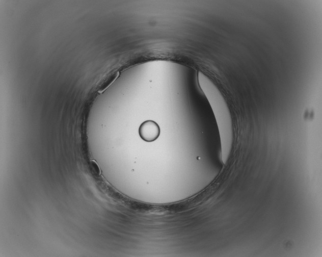 X0000113230213200910011417