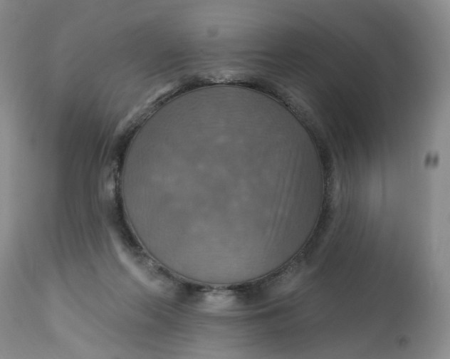 X0000113230214200910011417