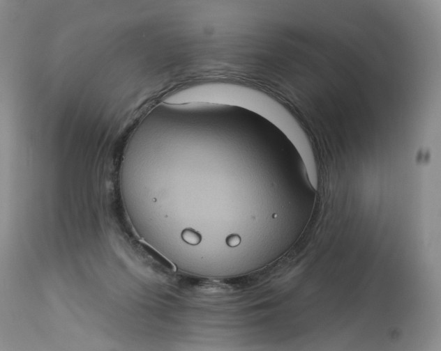 X0000113230215200910011417