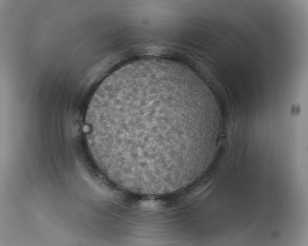 X0000113230216200910011417