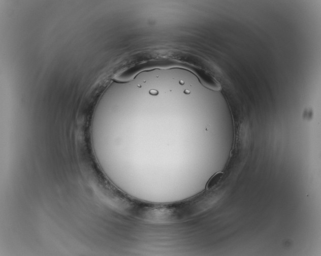 X0000113230217200910011417