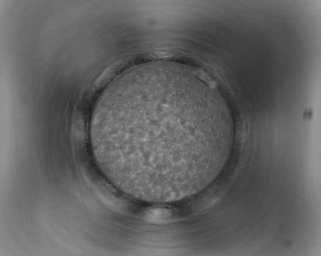 X0000113230220200910011417